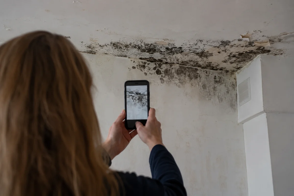 A renter photographing mold on a phone