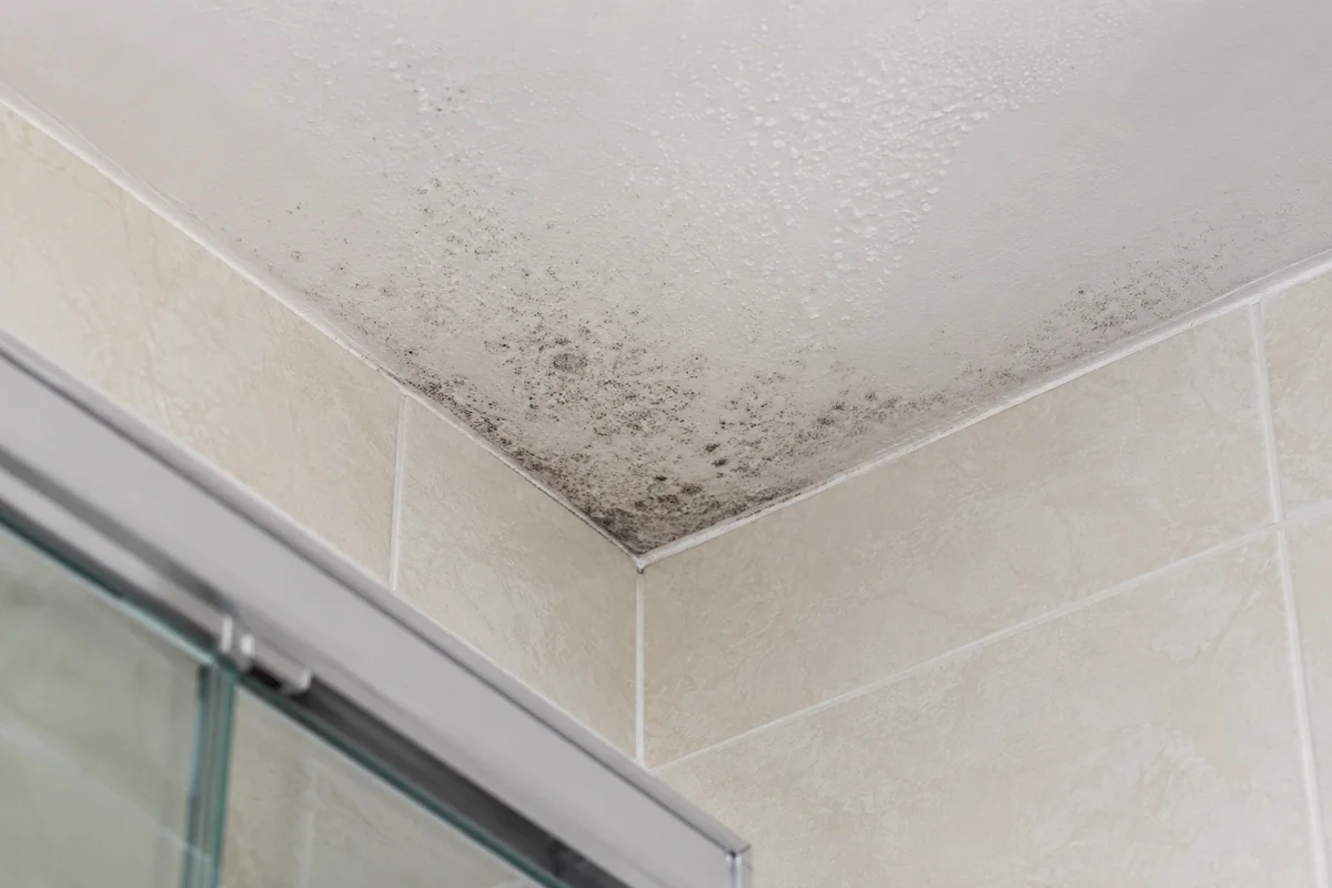 Early mold spotting on a bathroom ceiling near the shower