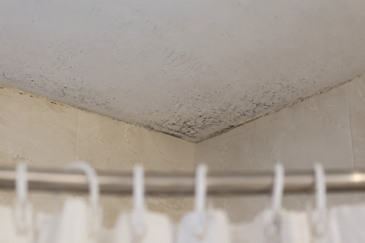 Mold spreading across a bathroom ceiling